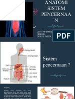 Anfis - KLP 6 - Kelas A - Sistem Pencernaan