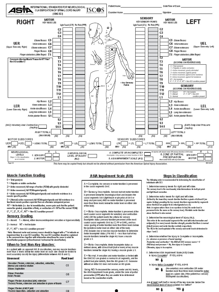 ASIA Impairment Scale Classification Guide | PDF | Anatomical Terms Of ...