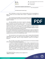 Directiva Reconocimiento de Deuda