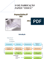 2012 Fabricacao Papeis Tissue