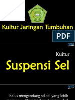 Kultur Jaringan