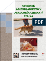 Curso de Adiestramiento y Psicología Canina y Felina