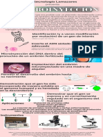 Identificación (Y A Veces Modificación Por Mutación) de Un Gen de Interés