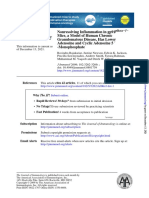 Mice, A Model of Human Chronic / Nonresolving Inflammation in gp91