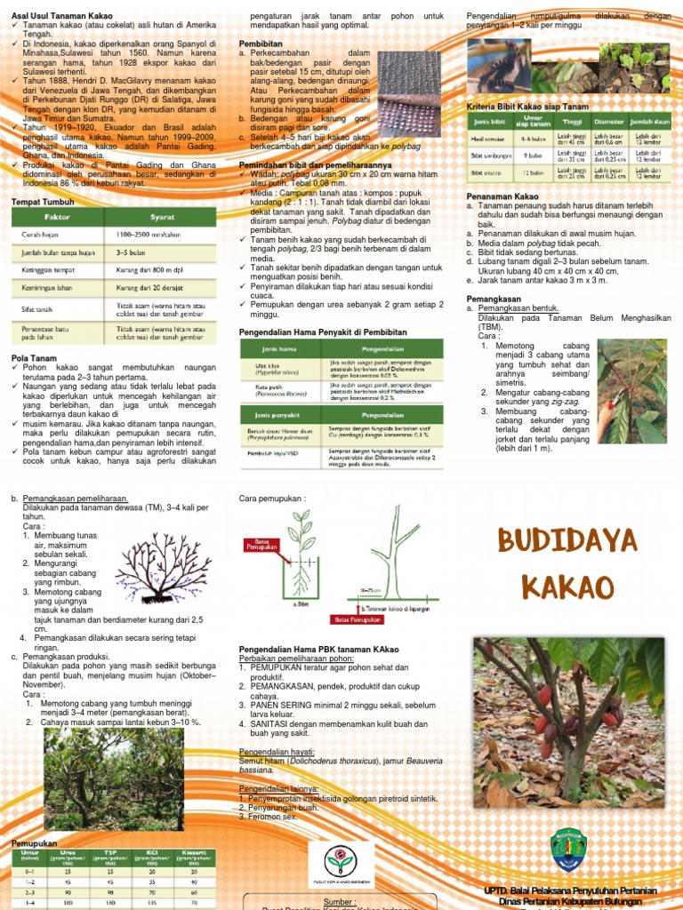 Panduan Budidaya Tanaman Kakao | PDF