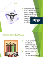 Transaminase