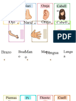 Partes Del Cuerpo Nuevo