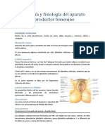 Anatomía y Fisiología Del Aparato Reproductor Femenino