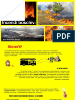 Incendi Boschivi PDF