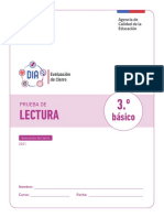 Prueba Lectura Ventana Cierre 2021 3 BASICO