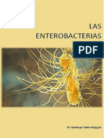 Las Enterobacterias