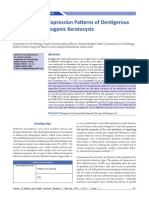 2015 Cytokeratin 19 Expression Patterns of Dentigerous Cysts and Odontogenic Keratocysts