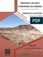 Normas y decretos de Jujuy sobre emergencia sanitaria COVID-19