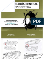 Laboratorio 8 (Lab. Lepidoptera)