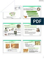 Slides - Plantas Medicinais - Histórico - RAE