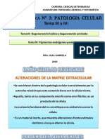 Clase Iii y Iv (Tema 2) Patologia General Uncaus