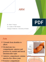 Arm anatomy and structures