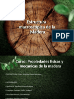 estructura macroscopica de la madera (2) (1)-convertido