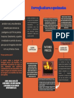 PASTAGEM - mapa mental sobre fatores piricos na pastagem e no processo de queimada.