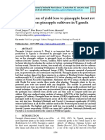 Yield Loss from Pineapple Heart Rot on Five Cultivars