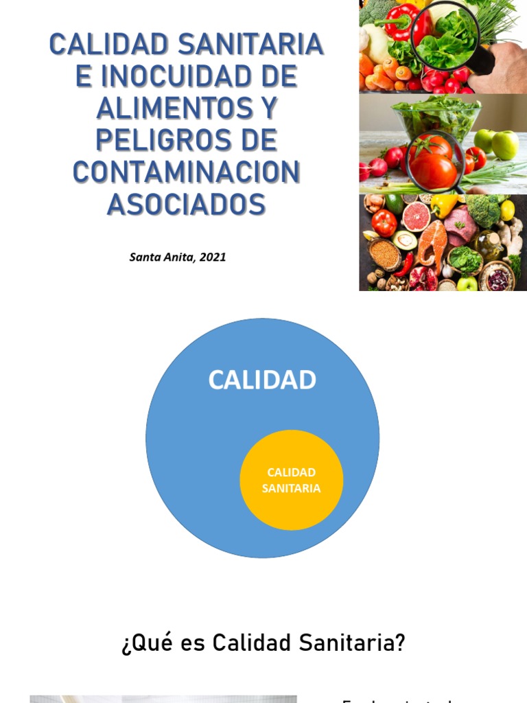 Calidad Sanitaria e Inocuidad de Alimentos y Peligros 222 | PDF ...