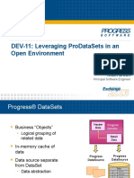 Dev-11: Leveraging Prodatasets in An Open Environment: Robin Brown