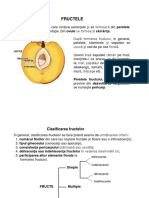 Referat - Fructe