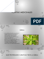 Plantas medicinales propiedades curativas