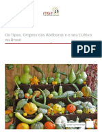 Os Tipos, Origens Das Abóboras e o Seu Cultivo No Brasil - MGT Nutri - Nutrição Clínica Funcional
