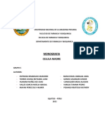 Investigacion Formativa Monografia