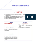 Estructuras Organizacionales