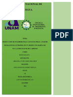 Producción de Polihidroxialcanoatos (Phas) A Partir de Ralstonia Eutropha en Un Medio Con Harina de Yuca Como Fuente de Carbono