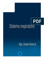 Sistema respiratorio: músculos, laringe, tráquea y vías aéreas