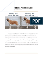 Risks Associated With Pediatric Neuter