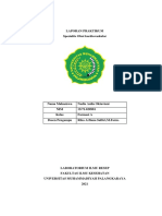 Laporan Praktikum Spesialite Kardiovaskular Nadia Aulia Oktaviani 19.71.020981