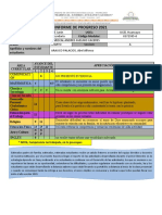 Informe de Progreso 2021