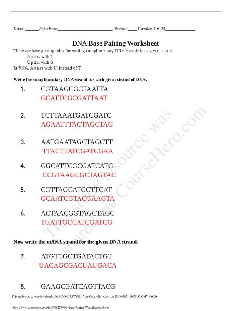 This Study Resource Was: DNA Base Pairing Worksheet PDF Genetic