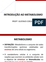 Introdução Ao Metabolismo