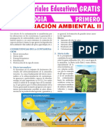 Efectos de La Contaminación Ambiental para Primero de Secundaria