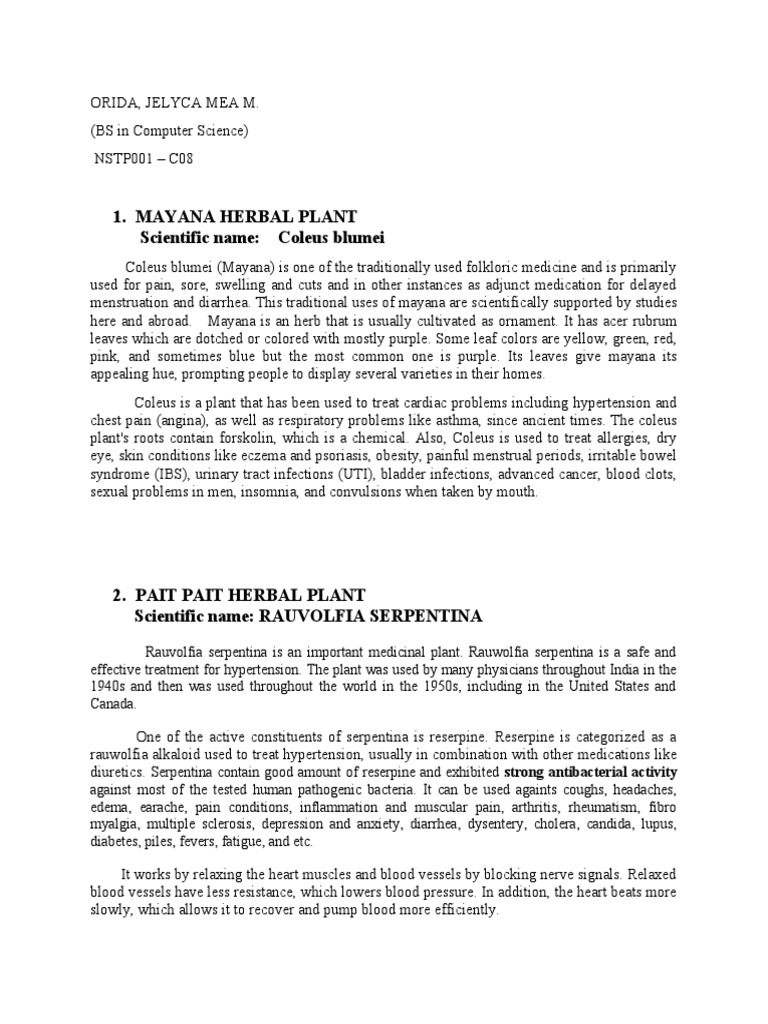 Mayana Herbal Plant Scientific Name Coleus Blumei PDF Hypertension