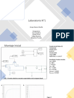 Laboratorio N°1