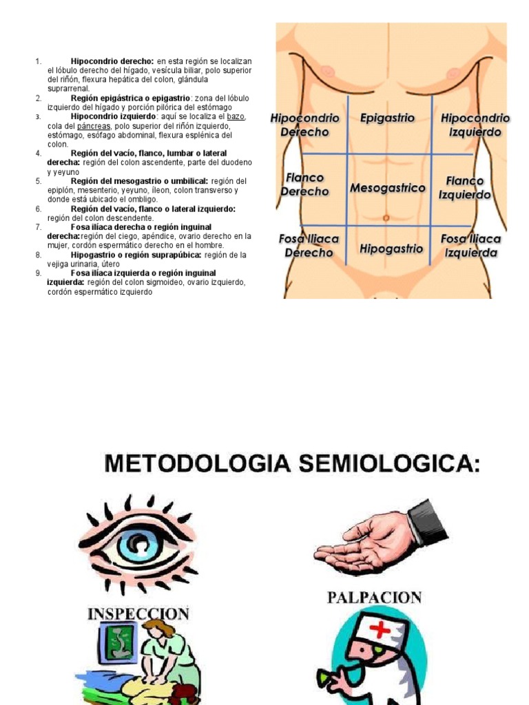 Hipocondrio Derecho PDF