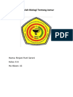 Makalah Biologi Tentang Jamur