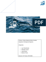 Salmones Camanchaca - Informe Final