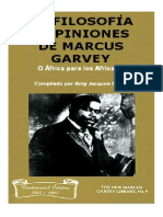 Filosofia y Opinioines de Marcus Gavey