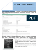 Fracturas Vertebrales Resumen Uptodate