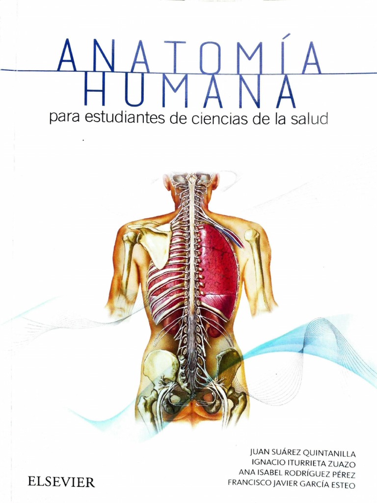 ANATOMIA PDF LIBRO visual data 2