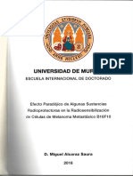 Tesis Doctoral Miguel Alcaraz Saura (2)