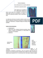 6 Teórico-de-Endodoncia-Limpieza-y-Conformación