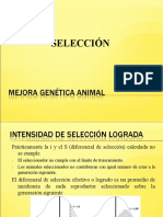 Selección II,III,IV